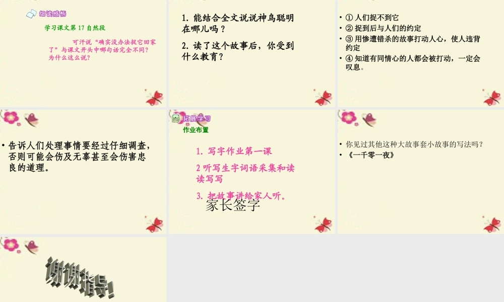 五年级语文下册 第1单元 1《神鸟》课件6 语文S版-语文S版小学五年级下册语文课件