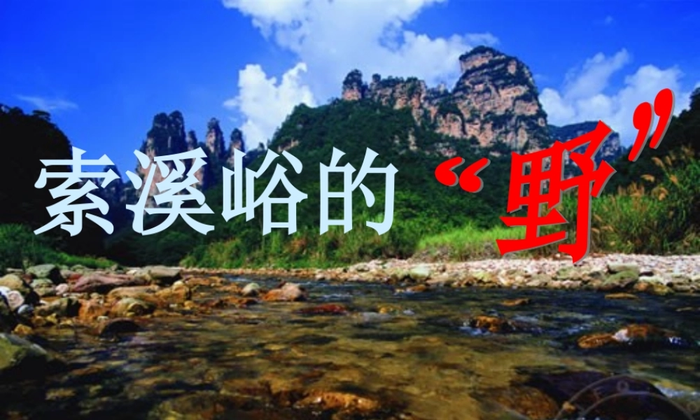 五年级语文上册 第四单元 索溪峪的“野”课件4 鄂教版-鄂教版小学五年级上册语文课件