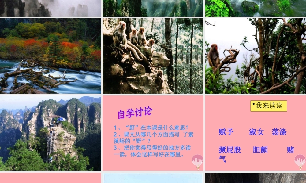 五年级语文上册 第四单元 索溪峪的“野”课件4 鄂教版-鄂教版小学五年级上册语文课件