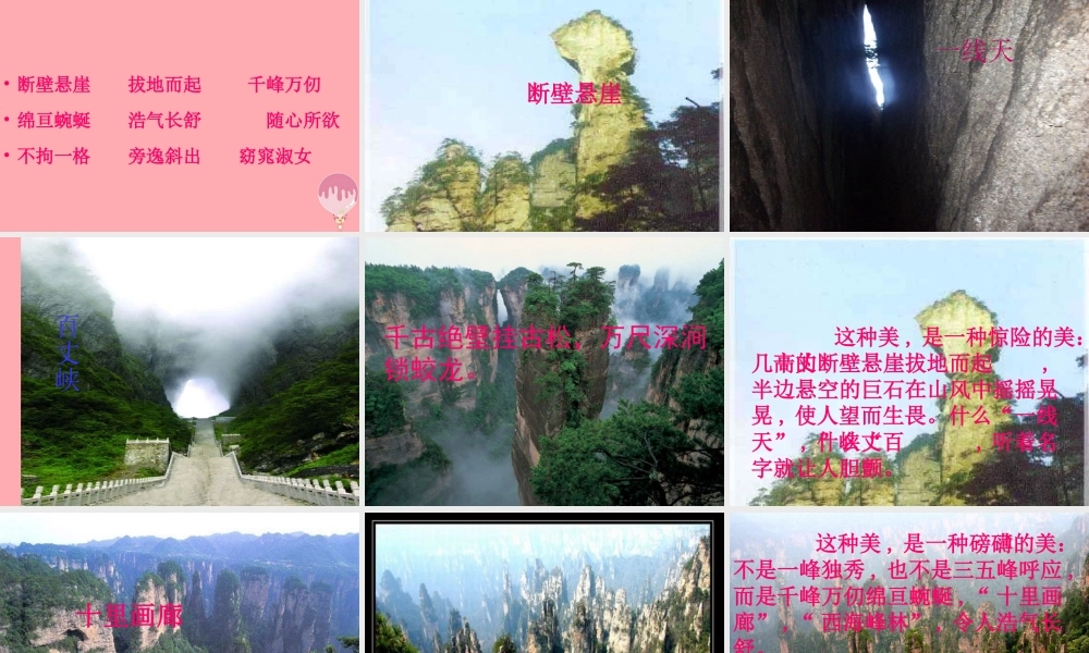 五年级语文上册 第四单元 索溪峪的“野”课件4 鄂教版-鄂教版小学五年级上册语文课件