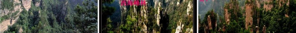 五年级语文上册 第四单元 索溪峪的“野”课件4 鄂教版-鄂教版小学五年级上册语文课件