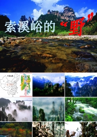 五年级语文上册 第四单元 索溪峪的“野”课件4 鄂教版-鄂教版小学五年级上册语文课件