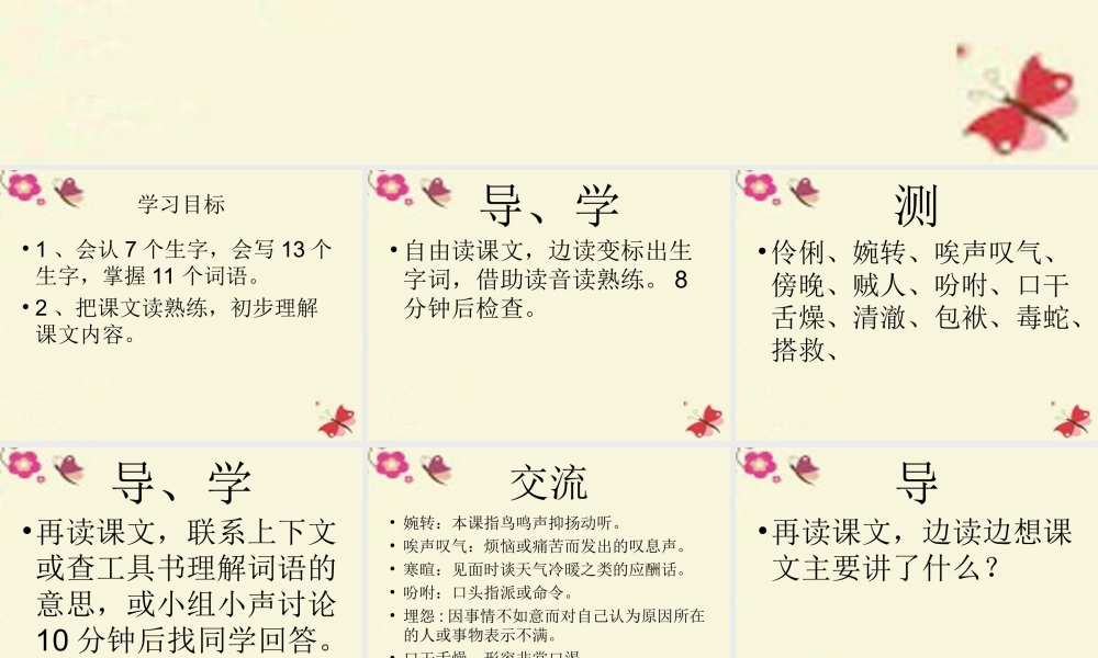 五年级语文下册 第1单元 1《神鸟》课件8 语文S版-语文S版小学五年级下册语文课件