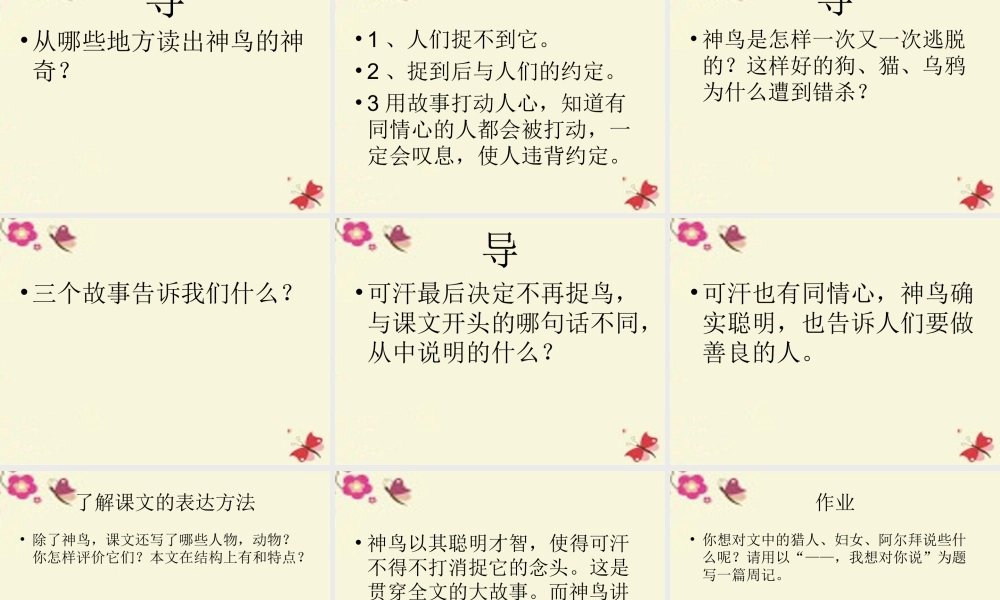 五年级语文下册 第1单元 1《神鸟》课件8 语文S版-语文S版小学五年级下册语文课件