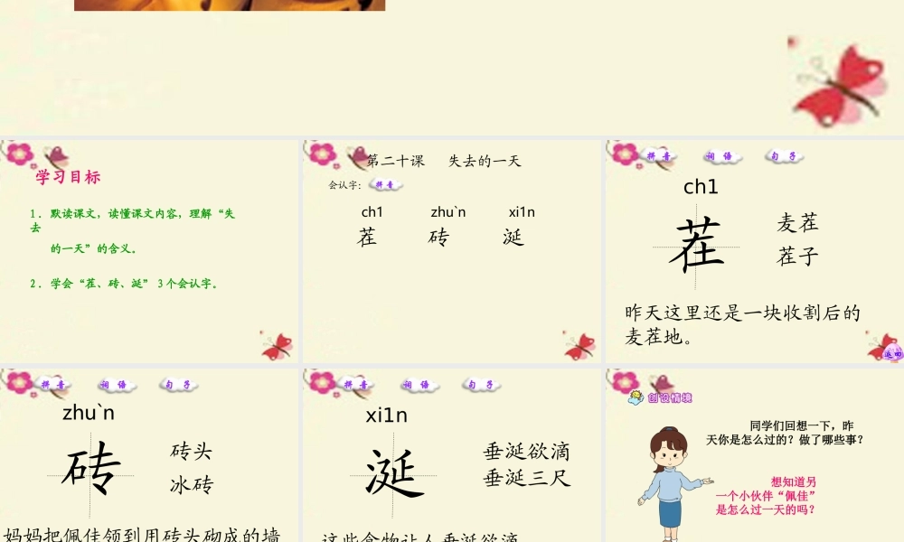 五年级语文下册 第4单元 20《失去的一天》课件2 语文S版-语文S版小学五年级下册语文课件