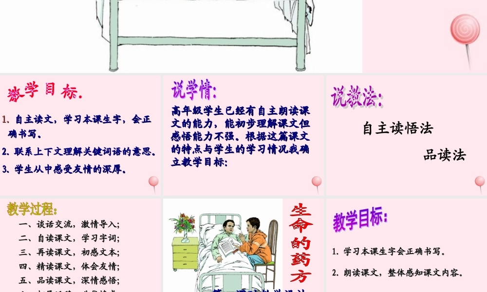 五年级语文下册 第二单元 第5课《生命的药方》课件 西师大版-西师大版小学五年级下册语文课件