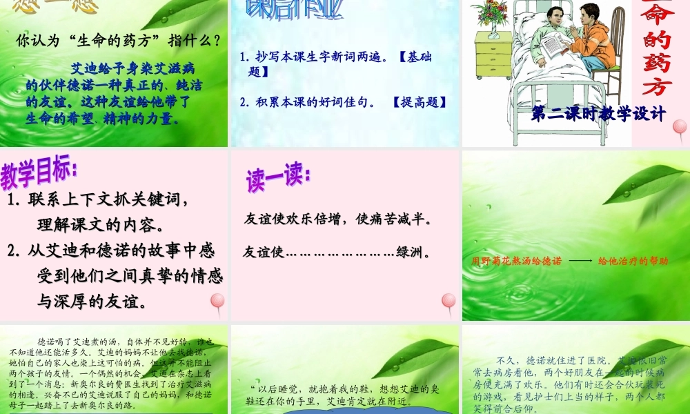 五年级语文下册 第二单元 第5课《生命的药方》课件 西师大版-西师大版小学五年级下册语文课件