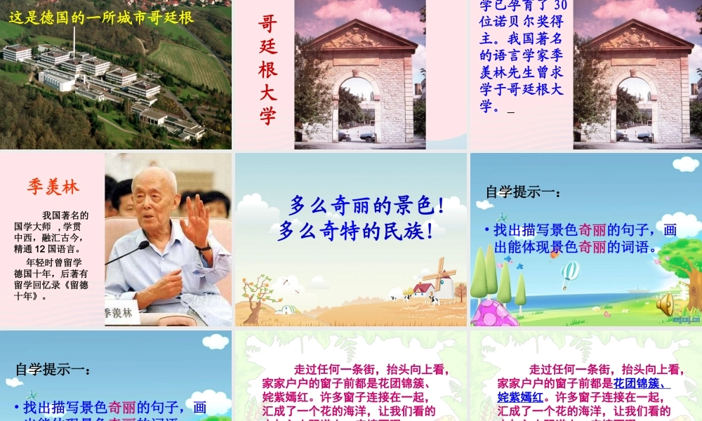 五年级语文下册 第八组 25 自己的花是让别人看的课件 新人教版-新人教版小学五年级下册语文课件