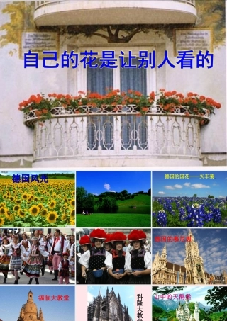 五年级语文下册 第八组 25 自己的花是让别人看的课件 新人教版-新人教版小学五年级下册语文课件