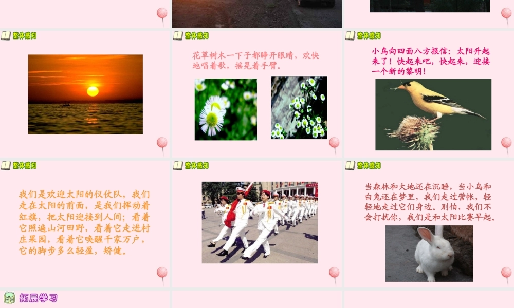 五年级语文下册 第二单元 第8课《和太阳比赛早起》课件 西师大版-西师大版小学五年级下册语文课件