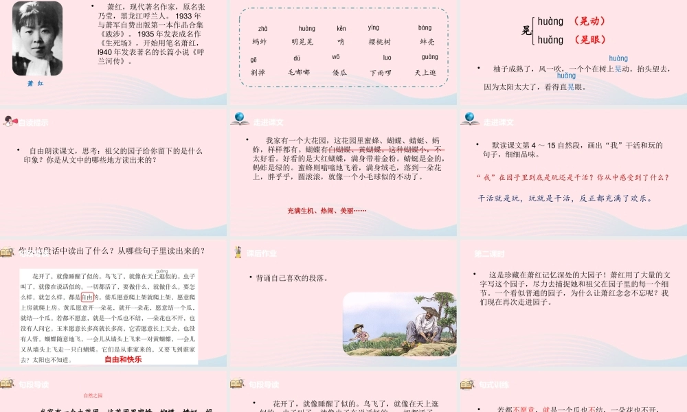 五年级语文下册 第1单元 2祖父的园子课件 新人教版-新人教版小学五年级下册语文课件
