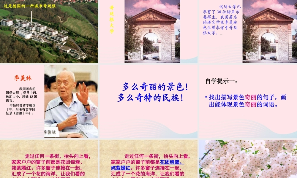 五年级语文下册 第八组 25 自己的花是让别人看的课件2 新人教版-新人教版小学五年级下册语文课件