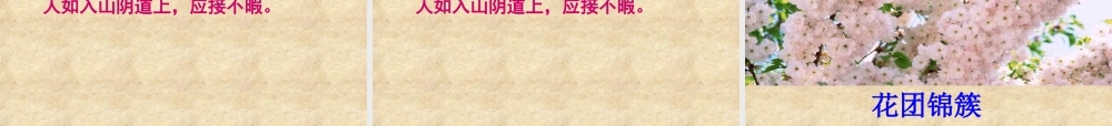 五年级语文下册 第八组 25 自己的花是让别人看的课件2 新人教版-新人教版小学五年级下册语文课件