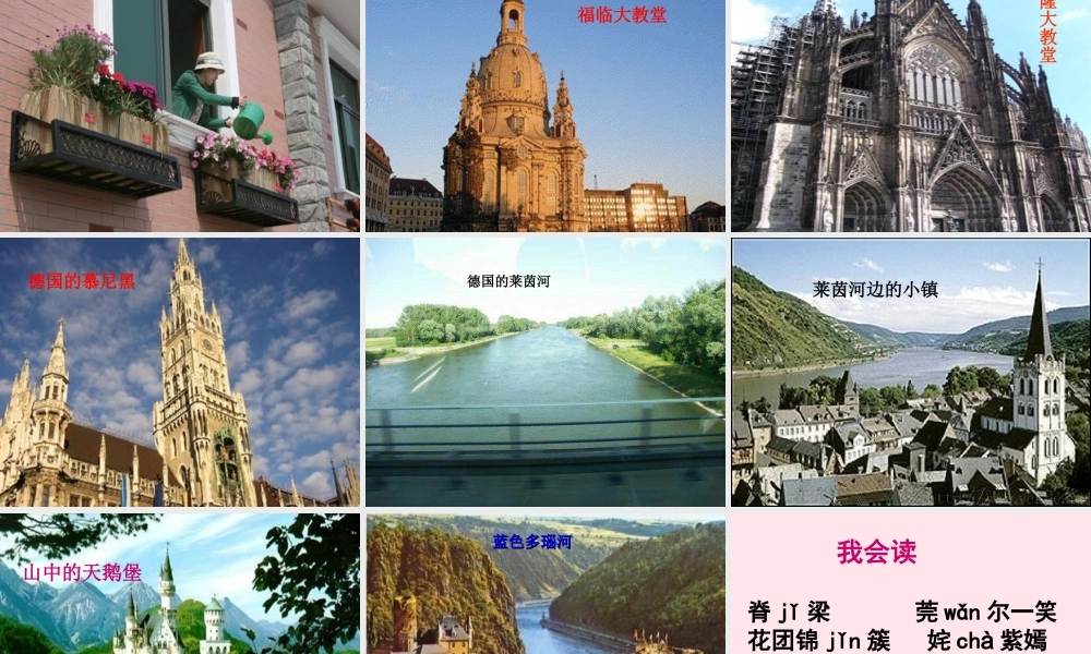 五年级语文下册 第八组 25 自己的花是让别人看的课件3 新人教版-新人教版小学五年级下册语文课件