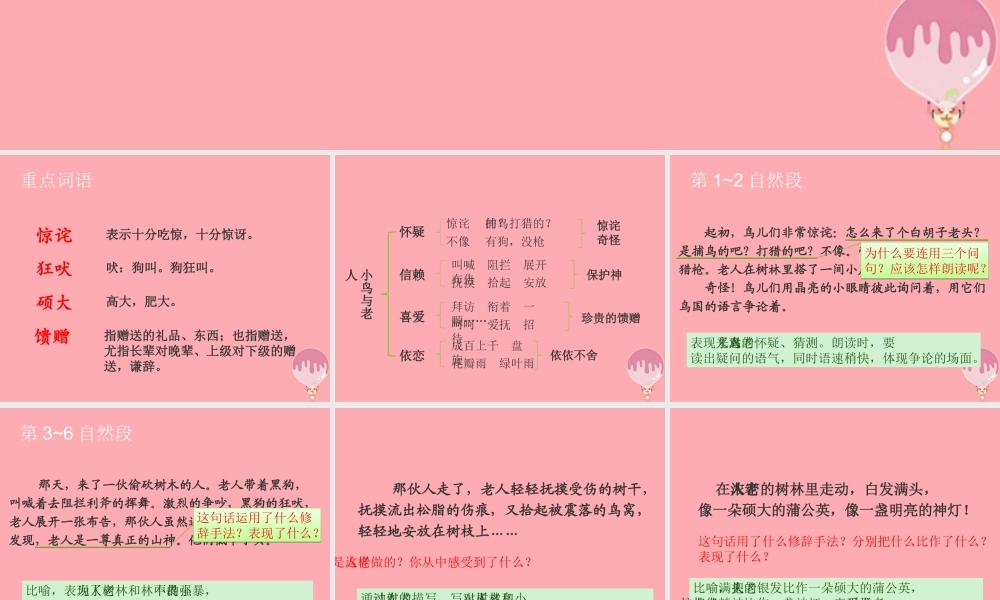 五年级语文上册 第四单元 小鸟和守林老人课件1 湘教版-湘教版小学五年级上册语文课件