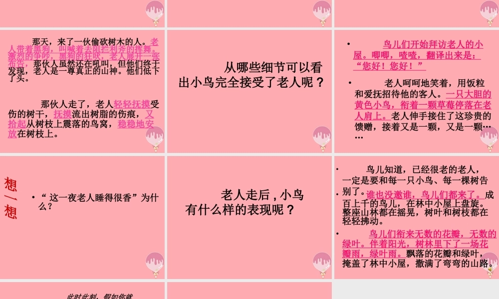 五年级语文上册 第四单元 小鸟和守林老人课件2 湘教版-湘教版小学五年级上册语文课件