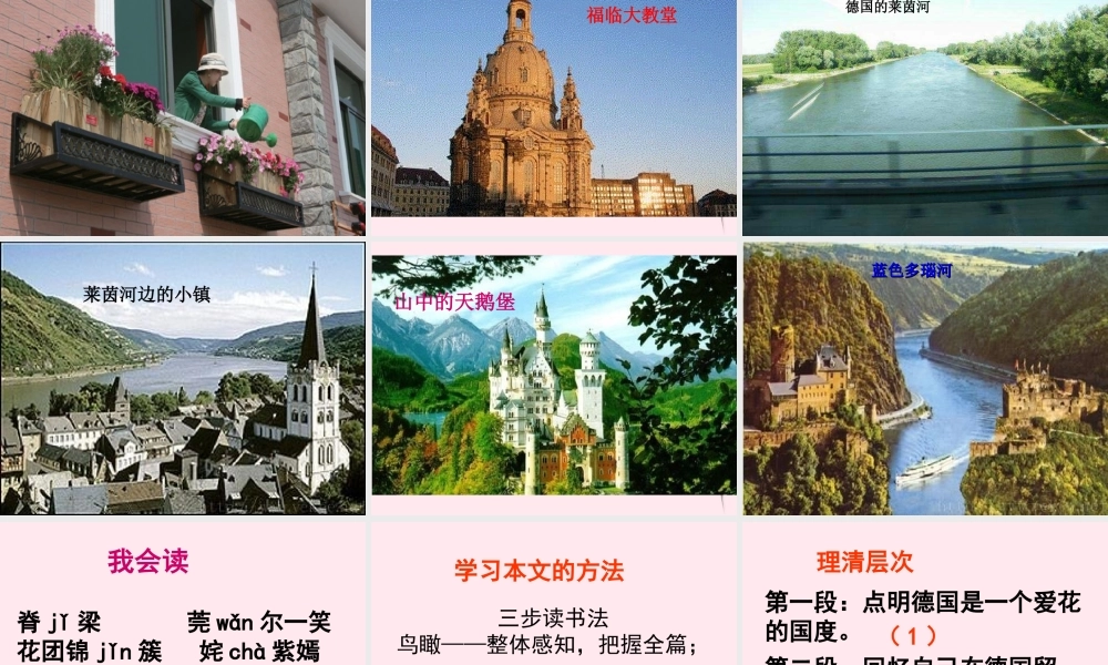 五年级语文下册 第八组 25《自己的花是让别人看的》课堂教学课件1 新人教版-新人教版小学五年级下册语文课件