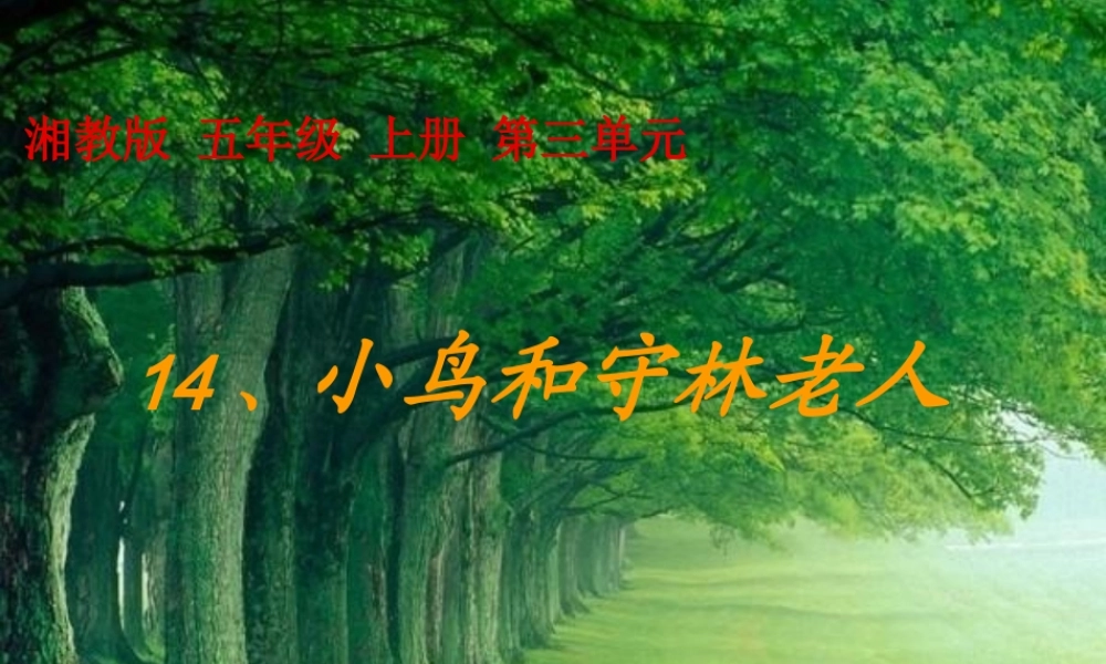 五年级语文上册 第四单元 小鸟和守林老人课件3 湘教版-湘教版小学五年级上册语文课件