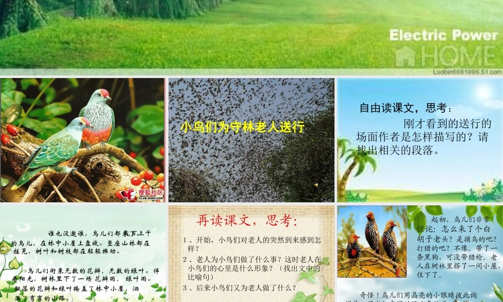 五年级语文上册 第四单元 小鸟和守林老人课件3 湘教版-湘教版小学五年级上册语文课件