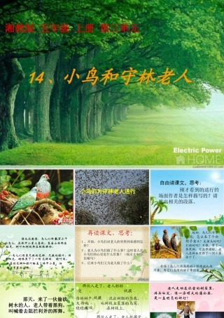 五年级语文上册 第四单元 小鸟和守林老人课件3 湘教版-湘教版小学五年级上册语文课件