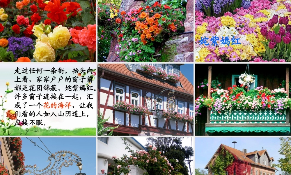 五年级语文下册 第八组 25《自己的花是让别人看的》课堂教学课件2 新人教版-新人教版小学五年级下册语文课件