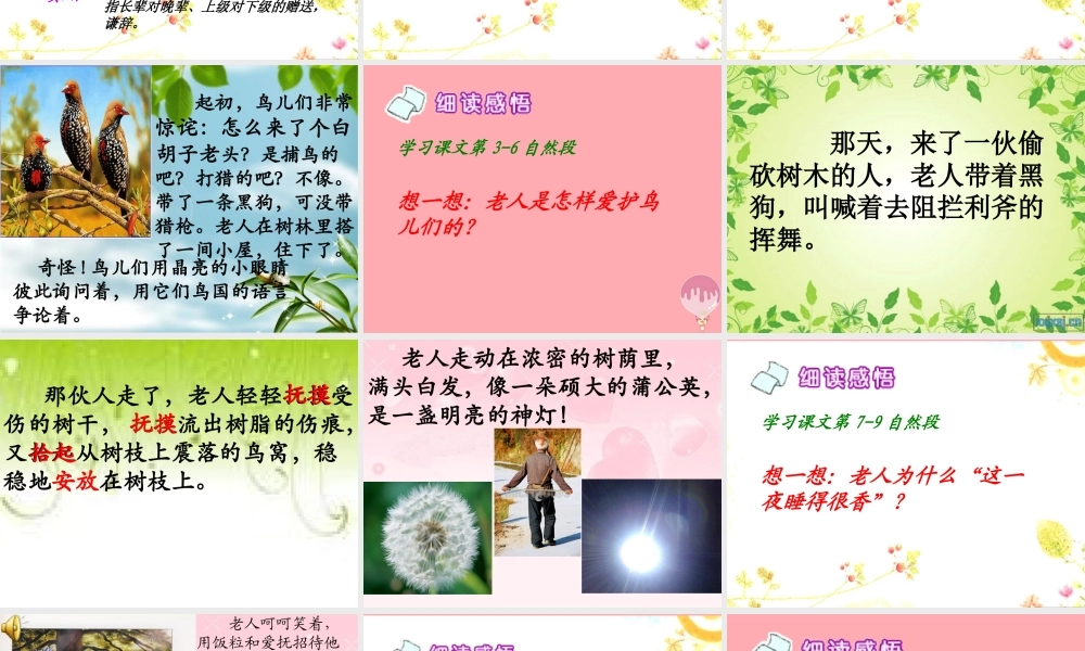 五年级语文上册 第四单元 小鸟和守林老人课件4 湘教版-湘教版小学五年级上册语文课件