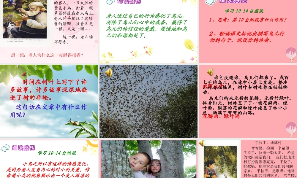 五年级语文上册 第四单元 小鸟和守林老人课件4 湘教版-湘教版小学五年级上册语文课件