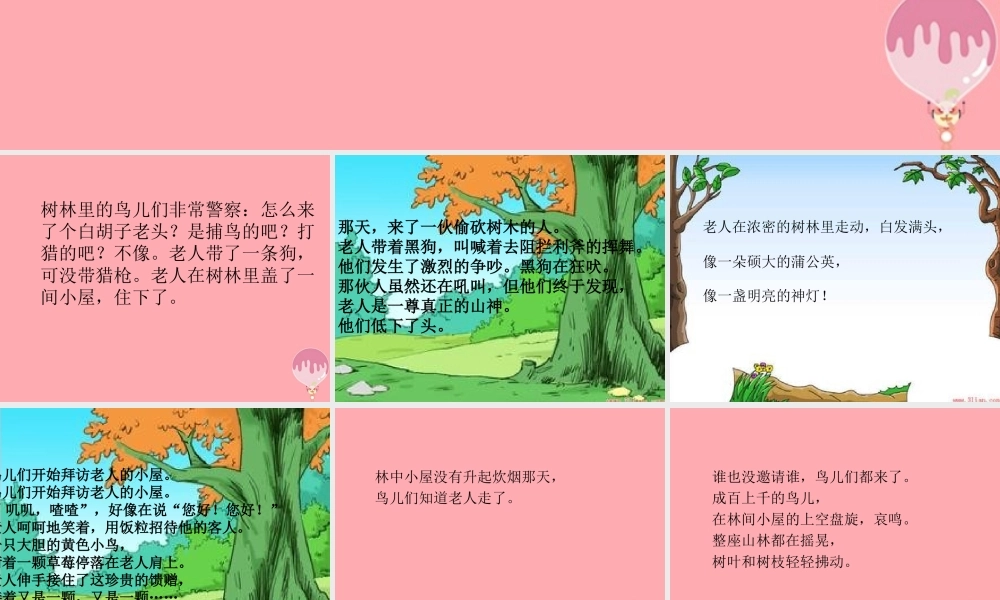 五年级语文上册 第四单元 小鸟和守林老人课件5 湘教版-湘教版小学五年级上册语文课件