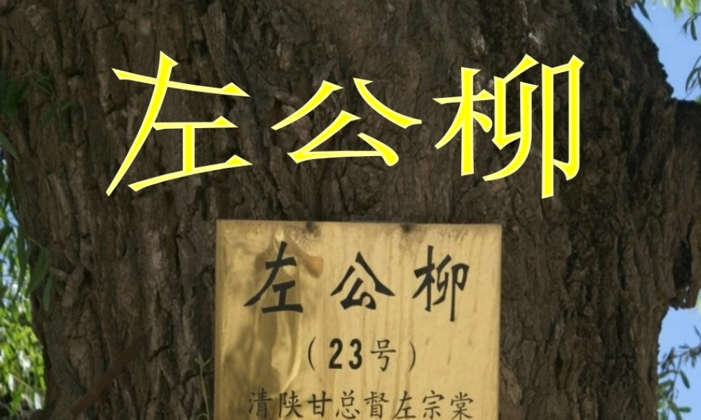 五年级语文下册 第5单元 22《左公柳》课件2 语文S版-语文S版小学五年级下册语文课件