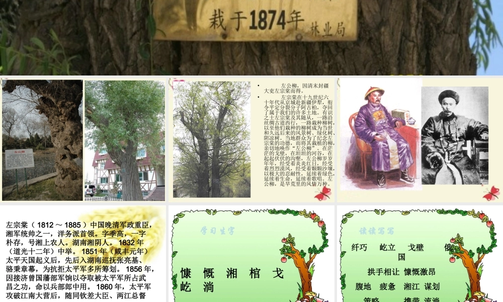 五年级语文下册 第5单元 22《左公柳》课件2 语文S版-语文S版小学五年级下册语文课件