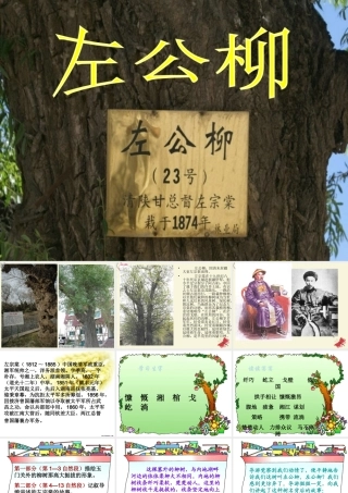五年级语文下册 第5单元 22《左公柳》课件2 语文S版-语文S版小学五年级下册语文课件