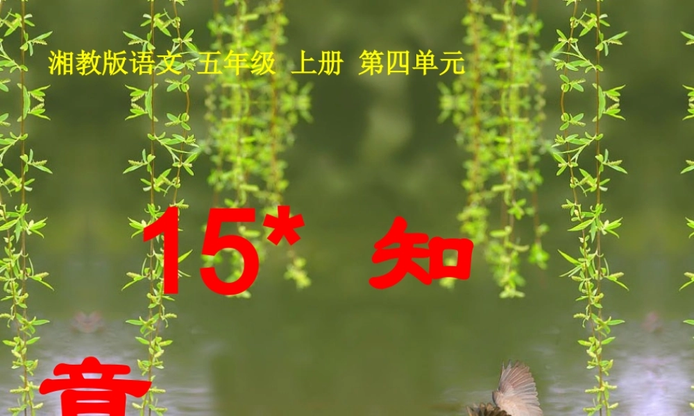 五年级语文上册 第四单元 知音课件1 湘教版-湘教版小学五年级上册语文课件