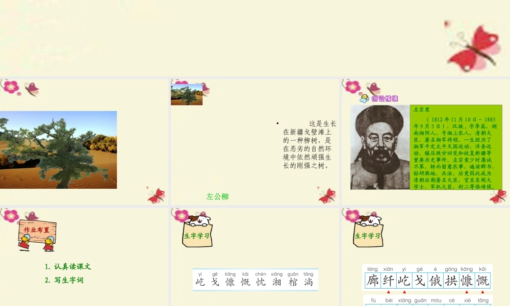 五年级语文下册 第5单元 22《左公柳》课件3 语文S版-语文S版小学五年级下册语文课件