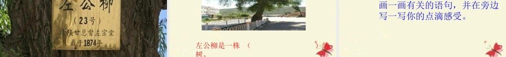 五年级语文下册 第5单元 22《左公柳》课件3 语文S版-语文S版小学五年级下册语文课件