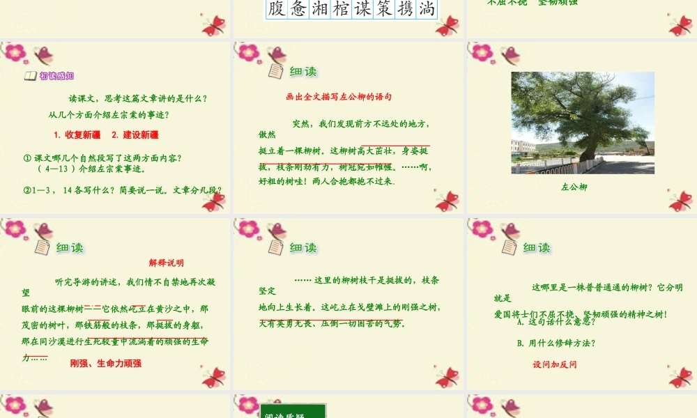 五年级语文下册 第5单元 22《左公柳》课件4 语文S版-语文S版小学五年级下册语文课件