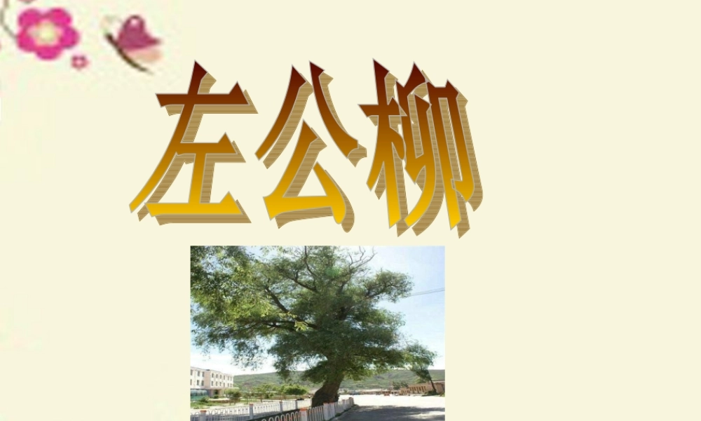 五年级语文下册 第5单元 22《左公柳》课件5 语文S版-语文S版小学五年级下册语文课件