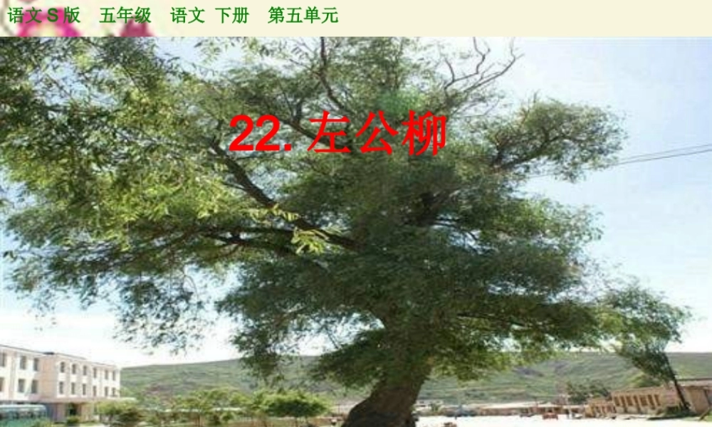 五年级语文下册 第5单元 22《左公柳》课件6 语文S版-语文S版小学五年级下册语文课件