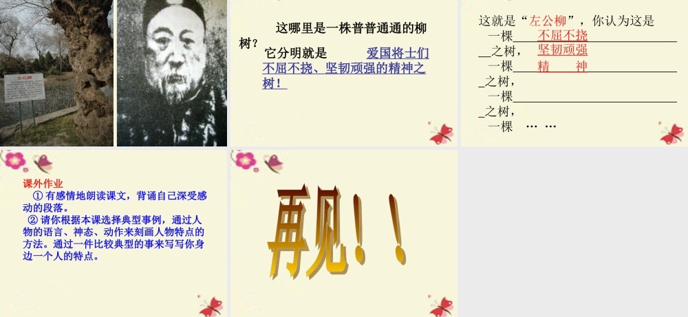 五年级语文下册 第5单元 22《左公柳》课件6 语文S版-语文S版小学五年级下册语文课件