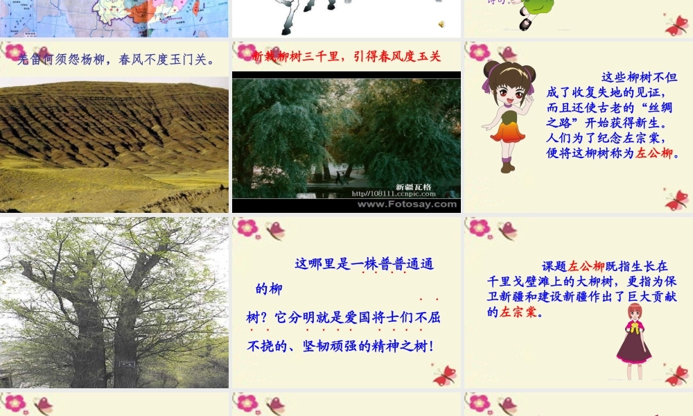 五年级语文下册 第5单元 22《左公柳》课件7 语文S版-语文S版小学五年级下册语文课件