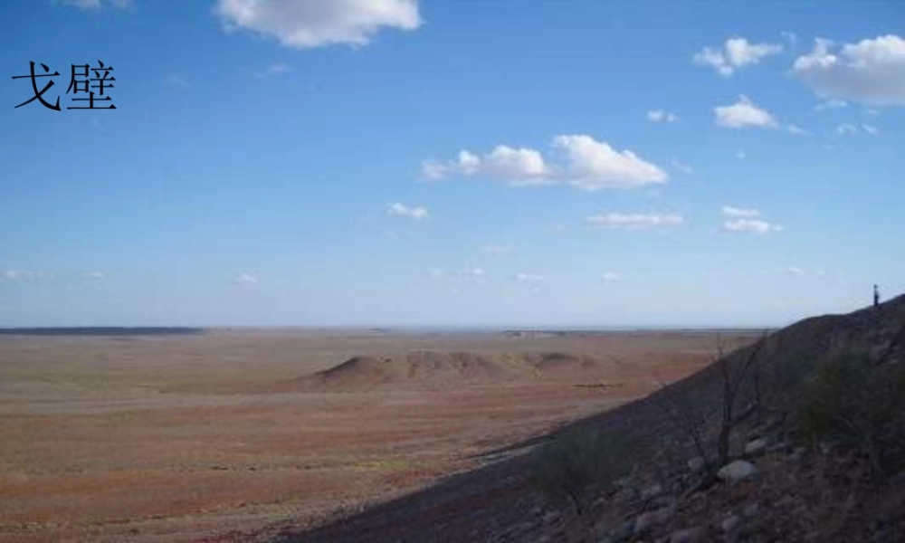 五年级语文下册 第5单元 22《左公柳》课件8 语文S版-语文S版小学五年级下册语文课件