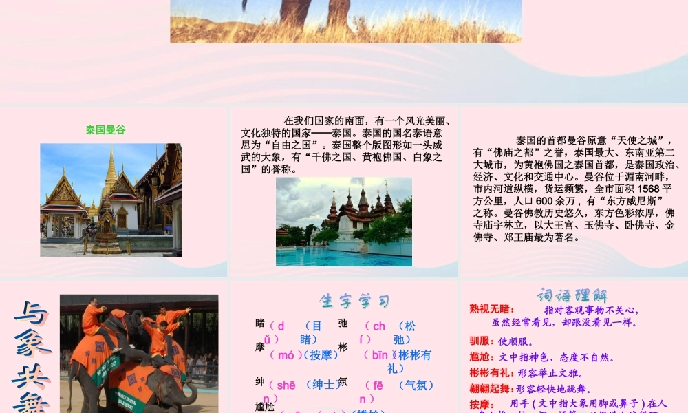 五年级语文下册 第八组 27 与象共舞教学课件1 新人教版-新人教版小学五年级下册语文课件