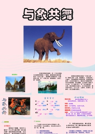 五年级语文下册 第八组 27 与象共舞教学课件1 新人教版-新人教版小学五年级下册语文课件