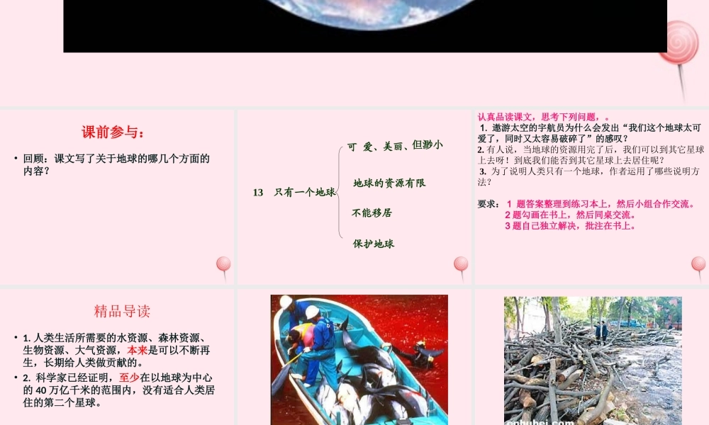 五年级语文上册 第六单元 21《只有一个地球》精品课件 北京版-北京版小学五年级上册语文课件