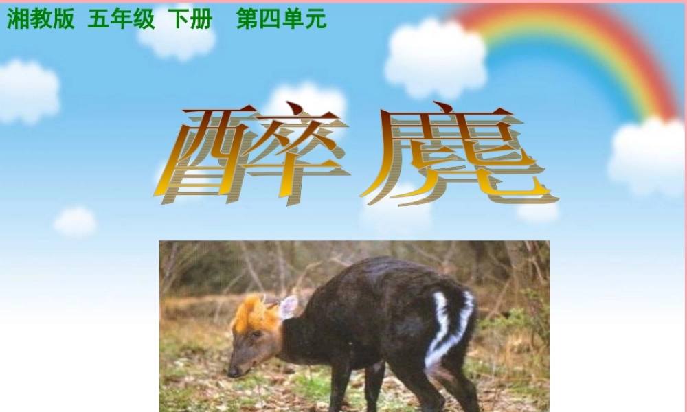 五年级语文上册 第四单元 醉麂课件2 湘教版-湘教版小学五年级上册语文课件