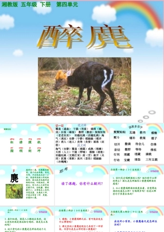 五年级语文上册 第四单元 醉麂课件2 湘教版-湘教版小学五年级上册语文课件