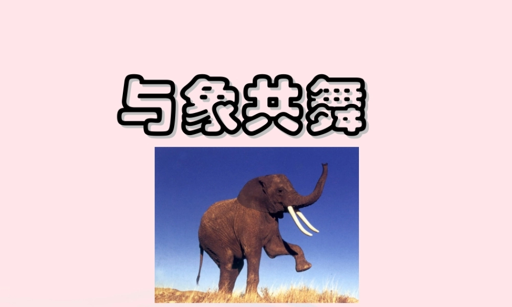五年级语文下册 第八组 27 与象共舞教学课件2 新人教版-新人教版小学五年级下册语文课件