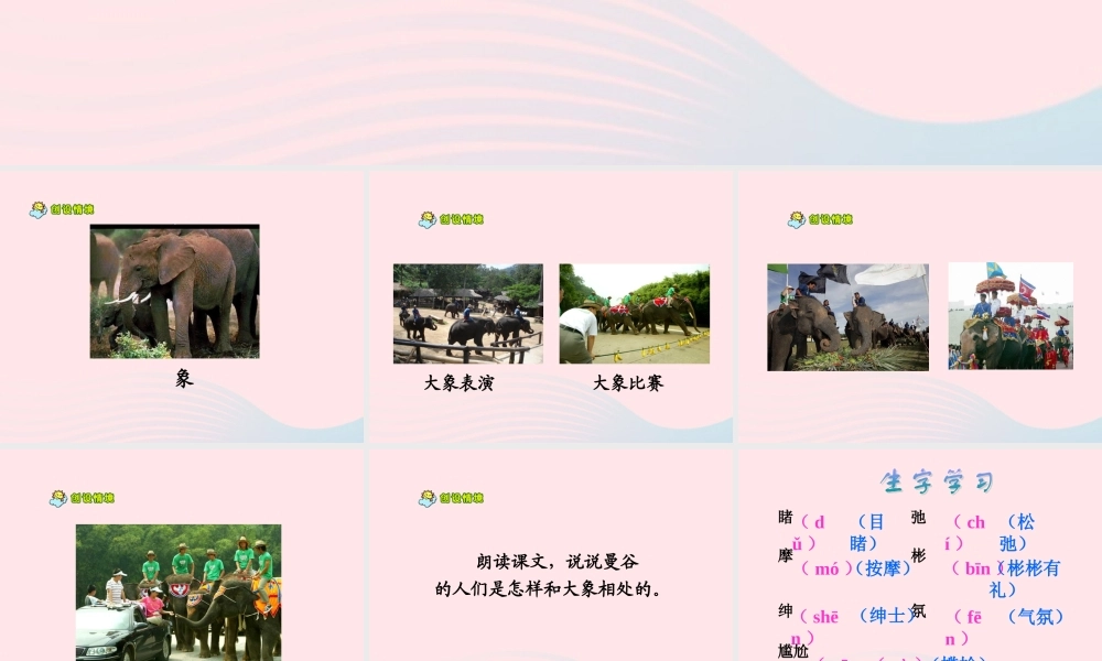 五年级语文下册 第八组 27 与象共舞教学课件2 新人教版-新人教版小学五年级下册语文课件