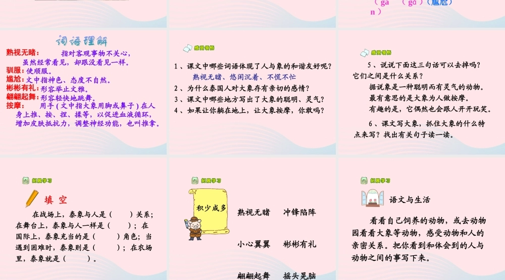 五年级语文下册 第八组 27 与象共舞教学课件2 新人教版-新人教版小学五年级下册语文课件