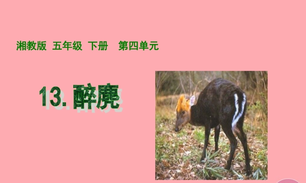 五年级语文上册 第四单元 醉麂课件3 湘教版-湘教版小学五年级上册语文课件