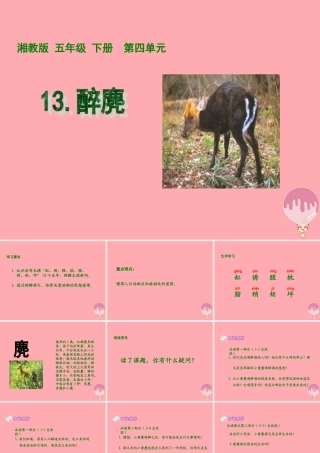 五年级语文上册 第四单元 醉麂课件3 湘教版-湘教版小学五年级上册语文课件